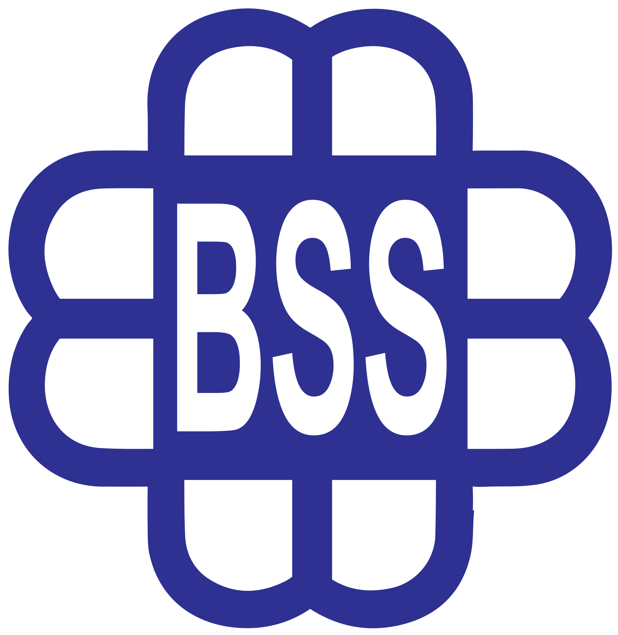 BSS Logo